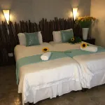 The Birdhouse Bed & Breakfast #No Loadshedding #Solar Energy