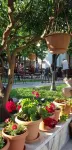 Su Apart Otel Akyaka - parking