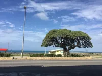 Emerald Hotel & Restaurant Hotels in Nuku'alofa
