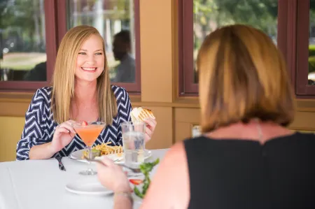 Carriage House Hotel Отели в г. Лафайетт