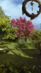 Douvilla