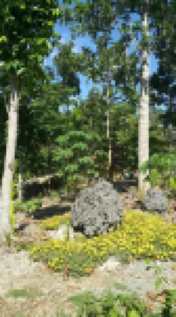 Andnindot Garden Resort