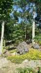 Andnindot Garden Resort Hotels in Anda