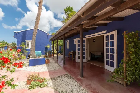 Blachi Koko Apartments Отели в г. Кралендейк