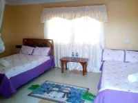 Racecourse Inn Hotel Hotels in 