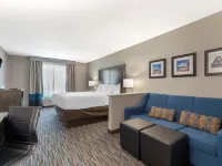 Comfort Inn & Suites Near Medical Center Hotels near Dellview Park