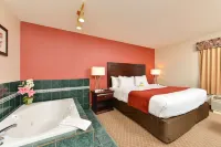 Comfort Inn & Suites Airport South