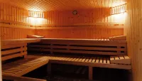 Complex Turistic Max International Hotels in Rosenau