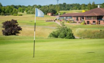 Greetham Valley