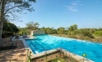 Back of Beyond - Wellness Retreat