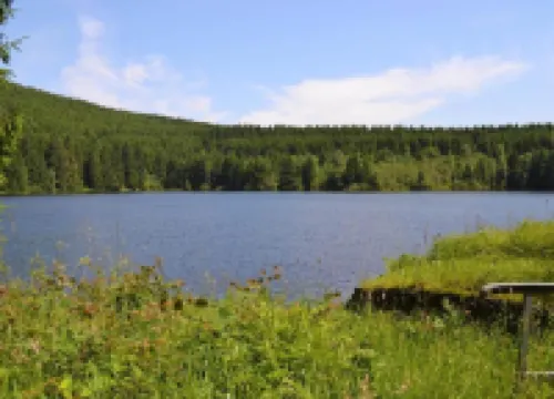 Wohnung in Wildemann Nahe Harzwald