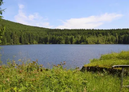 Adorable Aparment in Wildemann with Parking