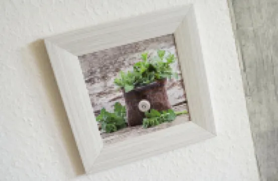 北海堤壩附近的布蘇姆房子