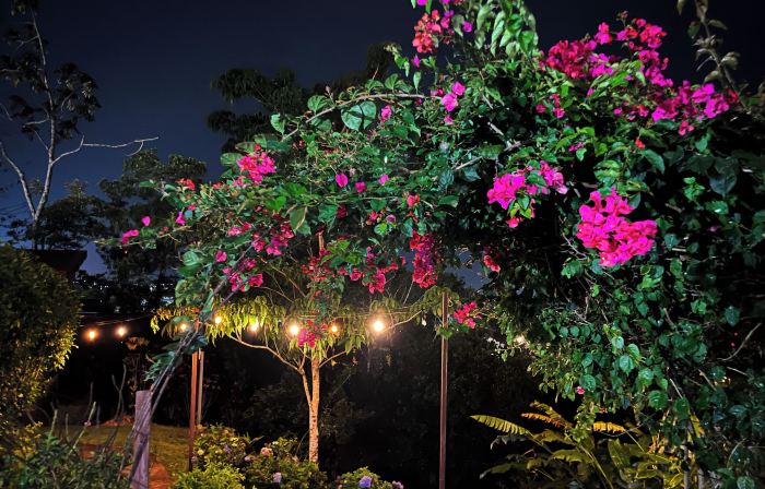 Legacy Boutique Hotel