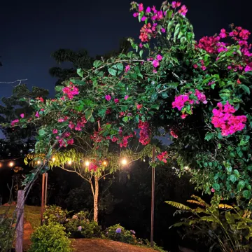 Legacy Boutique Hotel