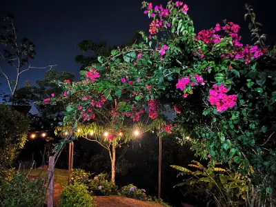 Legacy Boutique Hotel Các khách sạn ở Zarcero