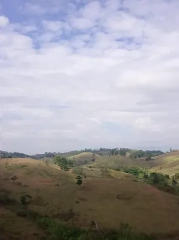 รูปภาพของเลิฟลี่ ฟาร์ม