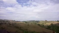 Lovely Farm