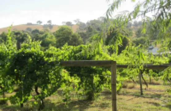 迪瓦恩隱逸山林小屋 希爾斯維爾酒店