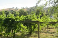 De'Vine Escape Hotel a Yering