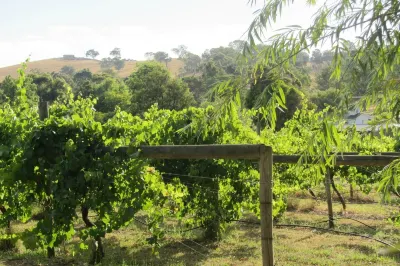 De'Vine Escape Hotel a Yering