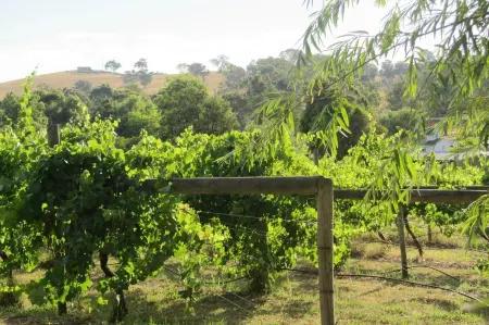 De'Vine Escape Отели рядом с достопримечательностью «Ярра Вэлли Рацинг»