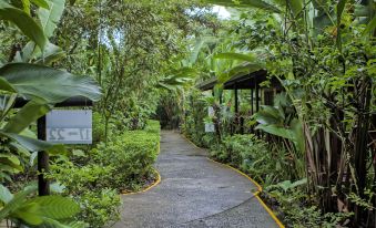 Pachira Lodge
