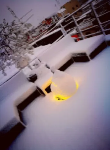 Abbraccia Morfeo Roma