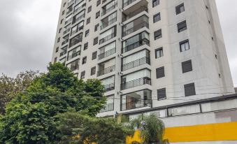 Machado238 in S o Paulo