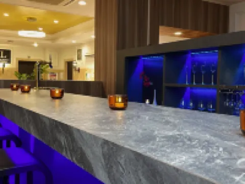 君津帕尼斯花園大酒店 君津市酒店