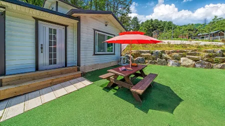 Pocheon Ginkgo Tree Pension