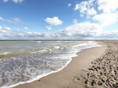 House m.WLan, Sky, near the beach, renovated, dogs welcome, fully fenced Отели в г. Дамп