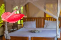 克里斯蒂娜之家