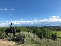 Rocky Mountain View Bed & Breakfast