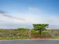 Tahren Beachfront Shack Wifi - Pet-Friendly Hotels in Goolwa