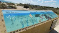 51 Bashford St Top Spot Jurien Bay