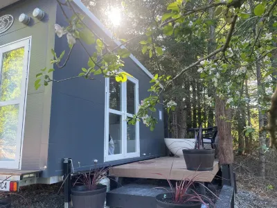 Affordable & cosy alpine cabin - an ideal couples retreat with outdoor bath! Hotels near Hanmer Springs Thermal Pools