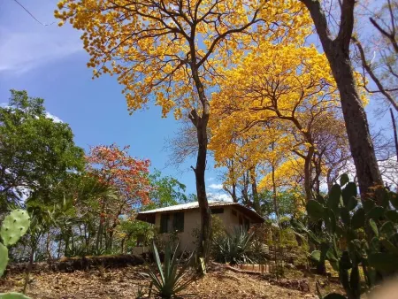 Casita Linda Vista /  Steps To Beach / Peaceful & Private / Fully Equipped
