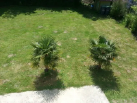 80 m² 100 m from the beach