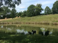 Gîtes de la Vie in Poiré sur Vie (Vendée)