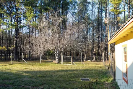 Cottage Nestled in Nature