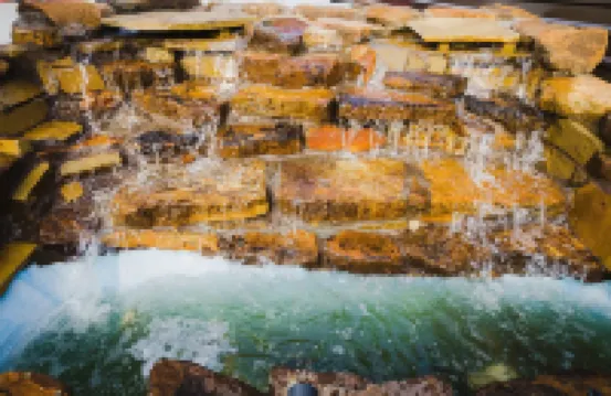 Downtowner Inns - 休斯頓市中心