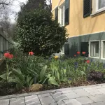 3 bedroom Jugendstilwohnung near the castle