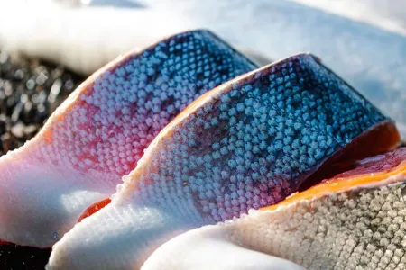 LUXURY Kenai River Estate with Private Fishing Dock located ON the KENAI River!