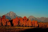 Teton Village Minutes 2 Snow Village Condo w Jackson Hole Property Management