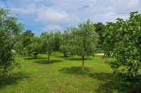 Ganz Neue Top Villa Hotel a Medulin