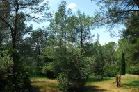 Superb Florida villa in the heart of the Alpilles