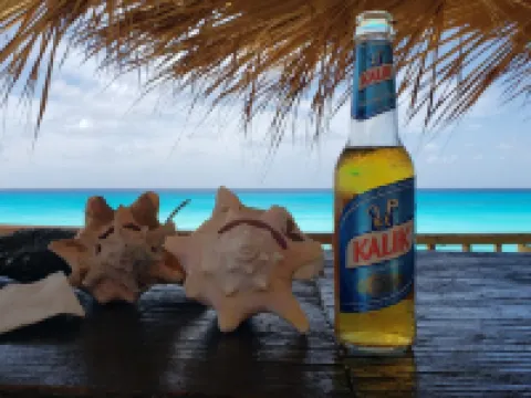 Steps from beach and infinity pool, Golf Cart Optional