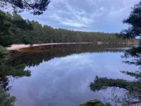 Charming Swedish cottage in dreamlike nature with lots of peace and quiet - โฮมสเตย์