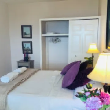 Egg Chair Comfort with Incredible Ocean Views Hotels in 